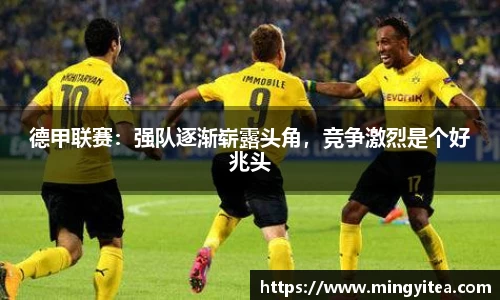 德甲联赛：强队逐渐崭露头角，竞争激烈是个好兆头