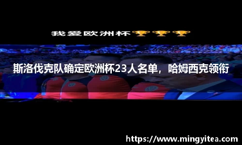 斯洛伐克队确定欧洲杯23人名单，哈姆西克领衔