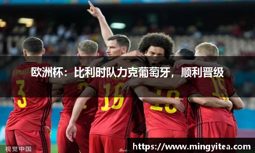 欧洲杯：比利时队力克葡萄牙，顺利晋级