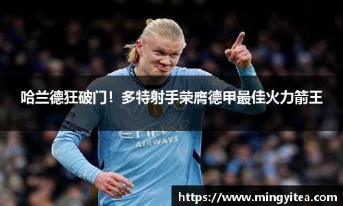 哈兰德狂破门！多特射手荣膺德甲最佳火力箭王