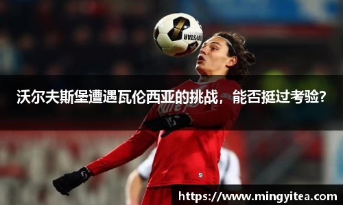 沃尔夫斯堡遭遇瓦伦西亚的挑战，能否挺过考验？