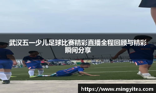6688体育网页版