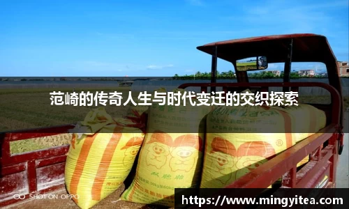 范崎的传奇人生与时代变迁的交织探索