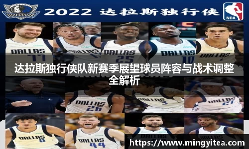 达拉斯独行侠队新赛季展望球员阵容与战术调整全解析