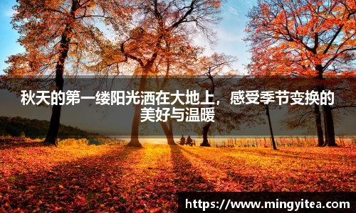 秋天的第一缕阳光洒在大地上，感受季节变换的美好与温暖