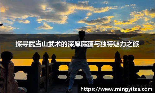 6688体育网页版