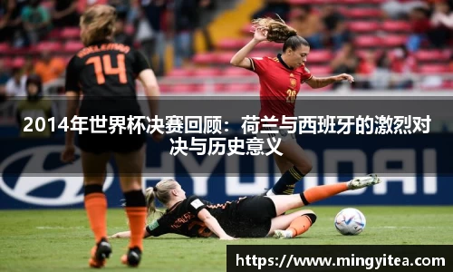 2014年世界杯决赛回顾：荷兰与西班牙的激烈对决与历史意义