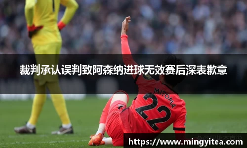 裁判承认误判致阿森纳进球无效赛后深表歉意